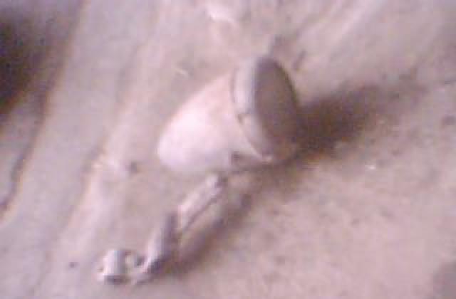 Prodavam